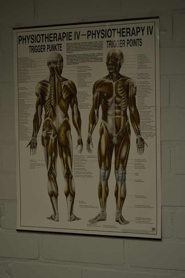 Akupunktiokartta ihmisen kehosta